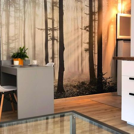 Apartament Sosnowa Puławy المظهر الخارجي الصورة