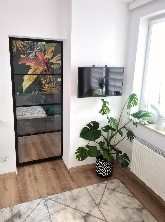 Apartament Sosnowa Puławy المظهر الخارجي الصورة