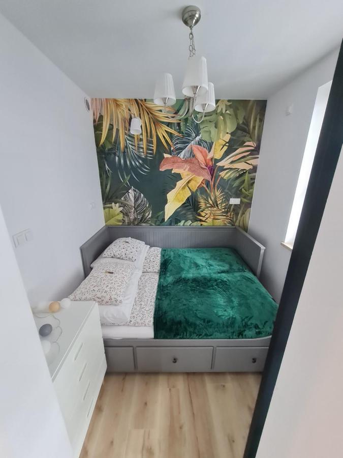 Apartament Sosnowa Puławy المظهر الخارجي الصورة
